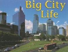 Beispielbild fr Big City Life zum Verkauf von Better World Books