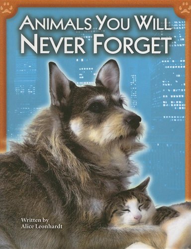 Imagen de archivo de Animals You Will Never Forget a la venta por Better World Books