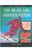 Stock image for The Brain and Nervous System for sale by Better World Books