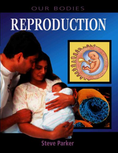 9780739866238: Reproduction (Our Bodies)