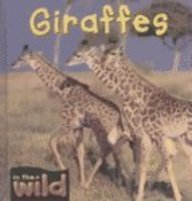 Beispielbild fr Giraffes (In the Wild) zum Verkauf von ZBK Books