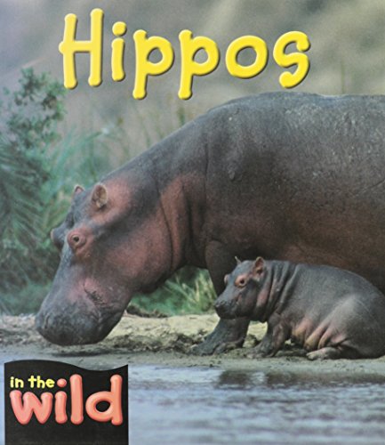 Stock image for Hippos for sale by Better World Books