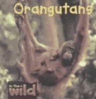 Orangutans (In the Wild) (9780739866368) by Kendell, Patricia