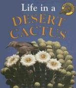 Life in a Desert Cactus (Microhabitats) (9780739868010) by Bailey, Jill