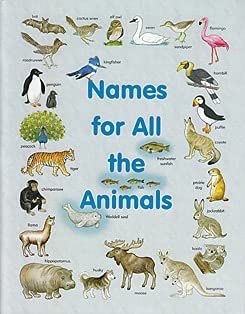 Stock image for Names for All the Animals Preschool Workbook Resource for sale by Blue Vase Books