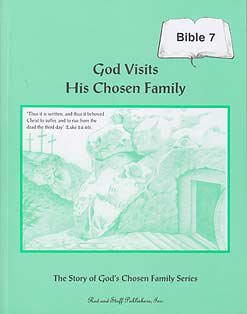 Stock image for God Visits His Chosen Family Grade 7 Bible Workbook for sale by Your Online Bookstore