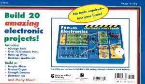 Stock image for Fun with Electronics, Build 20 Amazing Electronic Projects for sale by ThriftBooks-Dallas