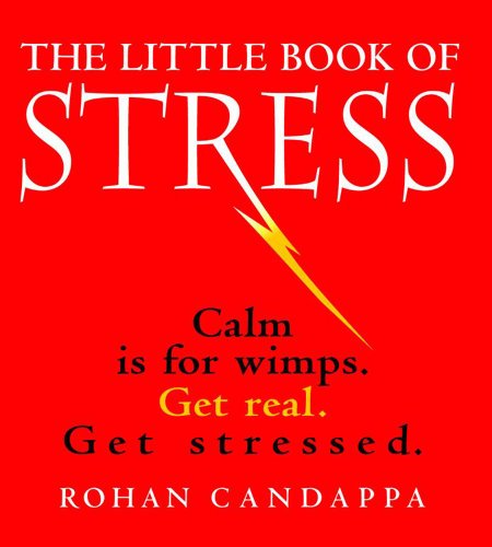 9780740704741: The Little Book Of Stress