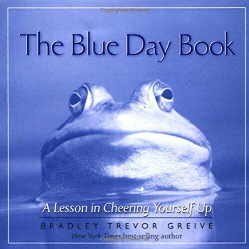 Imagen de archivo de The Blue Day Book A Lesson in a la venta por SecondSale