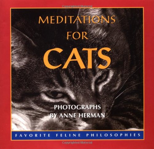9780740714634: Meditations for Cats: Favorite Feline Philosophies