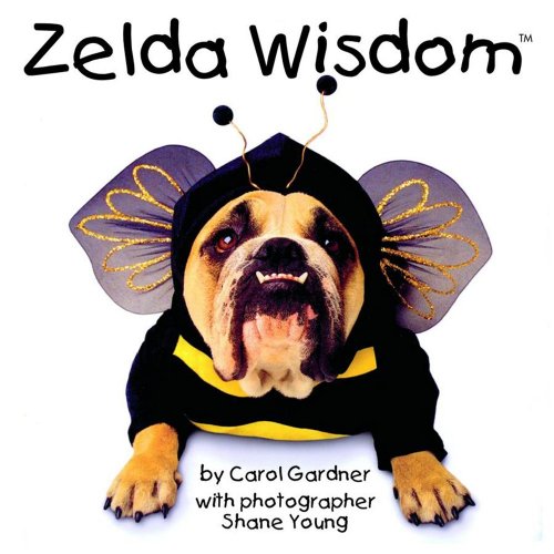 Stock image for Zelda Wisdom for sale by boyerbooks