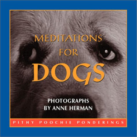 Beispielbild fr Meditations For Dogs: Pithy Poochie Ponderings zum Verkauf von SecondSale