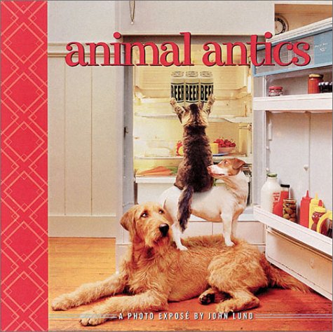 9780740727009: Animal Antics: A Photo Expose
