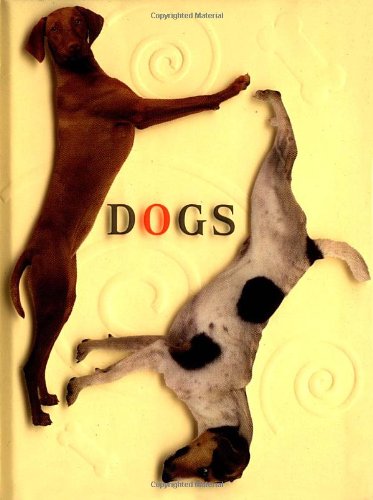 Beispielbild fr Dogs zum Verkauf von Wonder Book