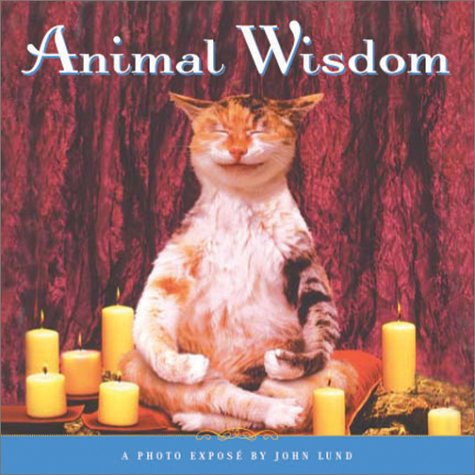Imagen de archivo de Animal Wisdom : More Animal Antics from John Lund a la venta por Wonder Book