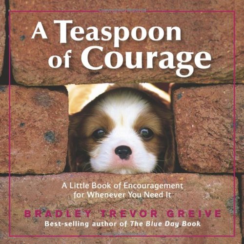 Beispielbild fr A Teaspoon of Courage: A Little Book of Encouragement for Whenever You Need It zum Verkauf von SecondSale