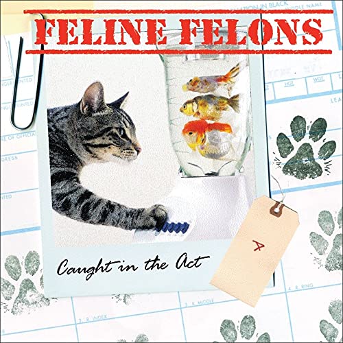 Stock image for Feline Felons: Caught in the Act for sale by Wonder Book