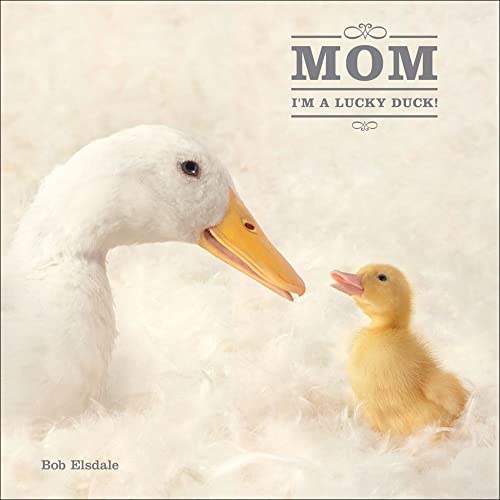 Imagen de archivo de Mom, I'm a Lucky Duck a la venta por BookHolders