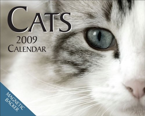 Cats: 2009 Mini Day-to-Day Calendar (9780740775024) by Andrews McMeel Publishing,LLC