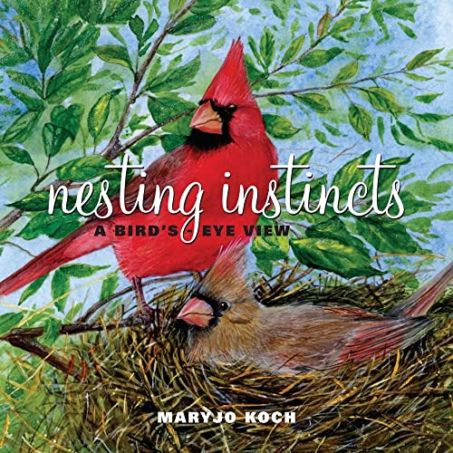 9780740781285: Nesting Instincts: A Bird's-Eye View