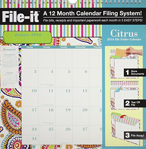 9780741250278: File-It Citrus File Folder 2016 Calendar