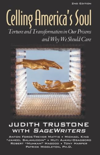 Imagen de archivo de Celling America's Soul: Torture and Transformation in Our Prisons and Why We Should Care a la venta por Wonder Book