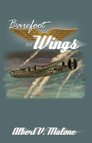 Imagen de archivo de Barefoot to Wings a la venta por Gulf Coast Books