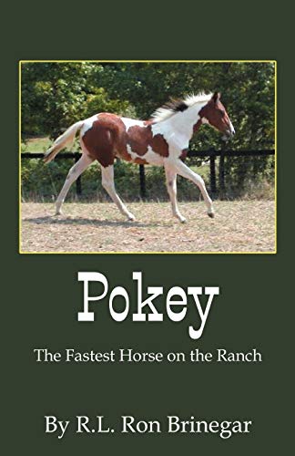 Beispielbild fr Pokey: The Fastest Horse on the Ranch zum Verkauf von Revaluation Books