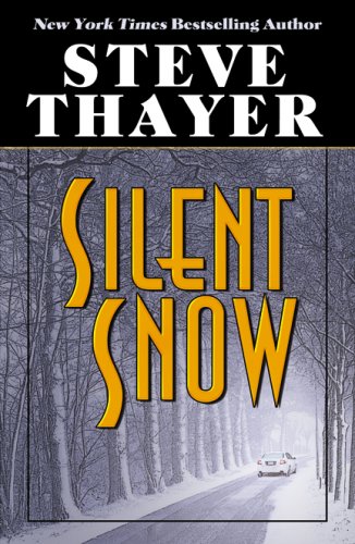 9780741446091: Silent Snow