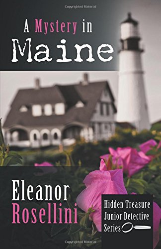 Stock image for A Mystery in Maine for sale by Revaluation Books