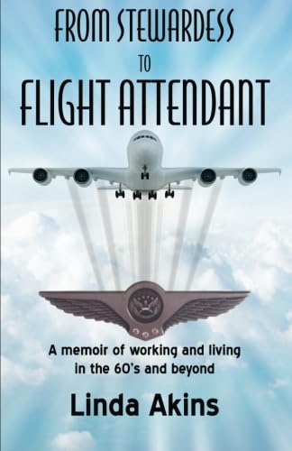 9780741467539: From Stewardess to Flight Attendant