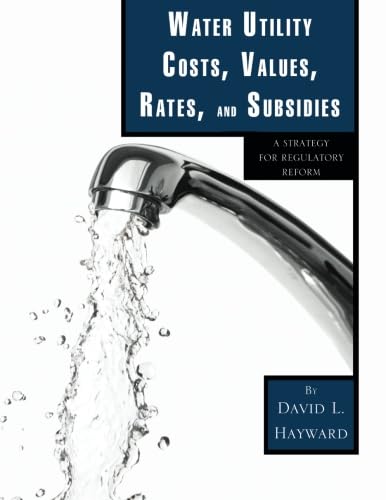 Imagen de archivo de Water Utility Costs, Values, Rates, and Subsidies a la venta por Wonder Book