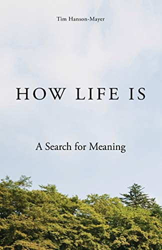 9780741480699: How Life Is: A Search for Meaning