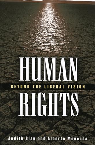 Beispielbild fr Human Rights: Beyond the Liberal Vision zum Verkauf von Chiron Media