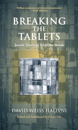 Imagen de archivo de Breaking the Tablets : Jewish Theology after the Shoah a la venta por Better World Books