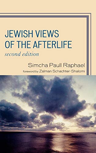 Imagen de archivo de Jewish Views of the Afterlife a la venta por Michael Lyons