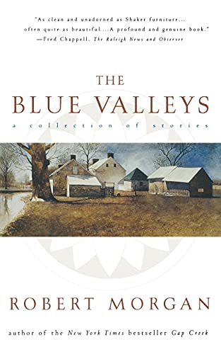 9780743204224: The Blue Valleys: A Collection of Stories