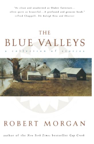 Stock image for The Blue Valleys: A Collection Of Stories for sale by BooksRun