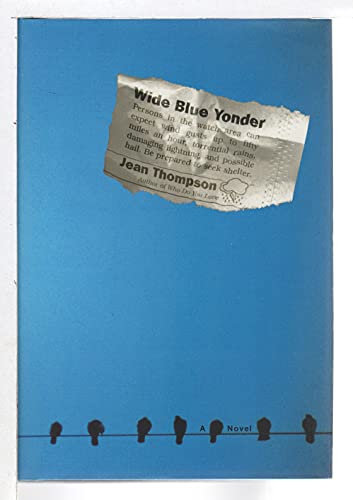 Stock image for Wide Blue Yonder: A Novel for sale by More Than Words