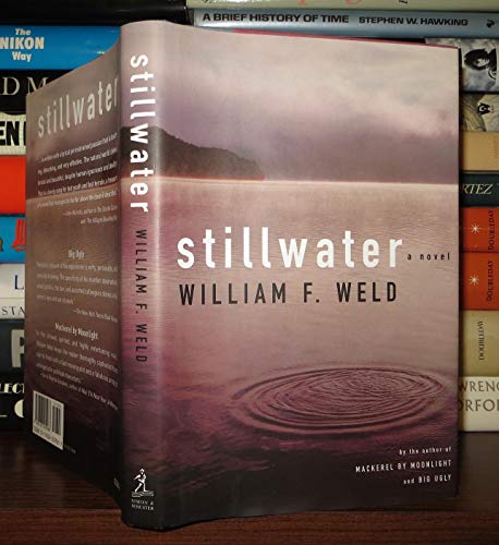 Stock image for Stillwater : A Novel for sale by Better World Books