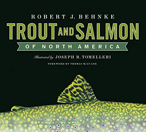 Beispielbild fr Trout and Salmon of North America zum Verkauf von Fireside Angler