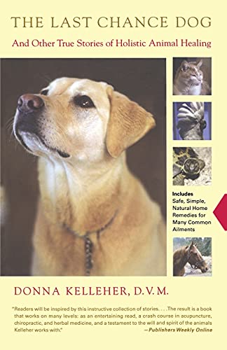Beispielbild fr The Last Chance Dog: and Other True Stories of Holistic Animal Healing zum Verkauf von Wonder Book