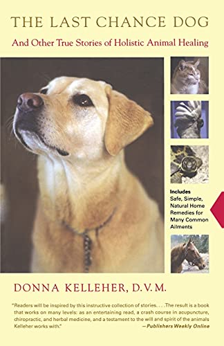 Stock image for The Last Chance Dog: and Other True Stories of Holistic Animal Healing for sale by Wonder Book