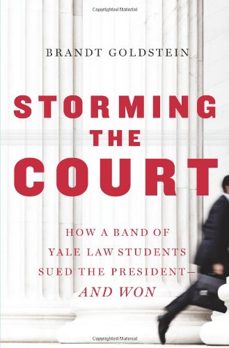Imagen de archivo de Storming the Court : How a Band of Yale Law Students Sued the President--And Won a la venta por Better World Books