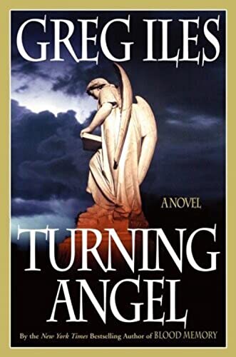 Beispielbild fr Turning Angel zum Verkauf von Better World Books