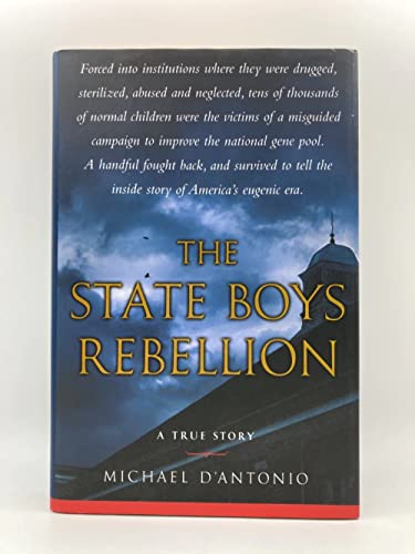 Imagen de archivo de The State Boys Rebellion a la venta por Ergodebooks