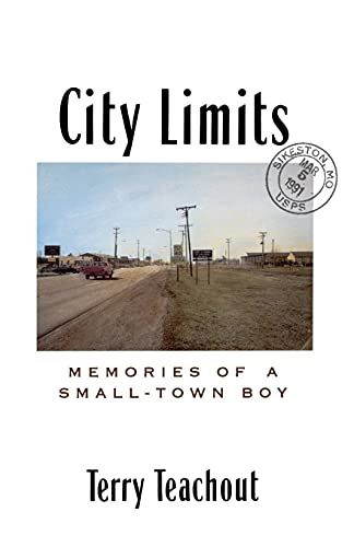 Imagen de archivo de City Limits a la venta por HPB-Diamond