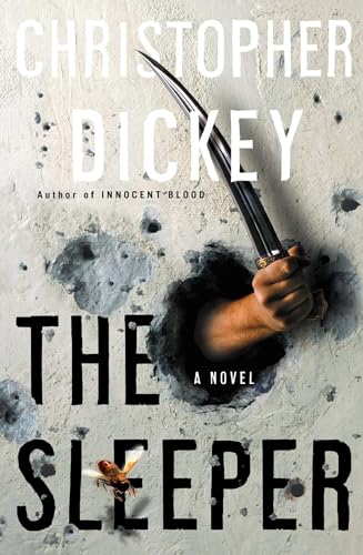 Imagen de archivo de The Sleeper: A Novel a la venta por Lucky's Textbooks