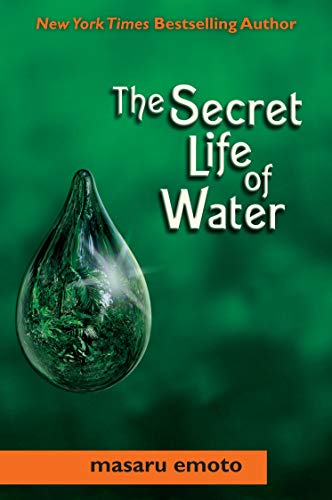 Stock image for Secret Life of Water for sale by HPB-Ruby