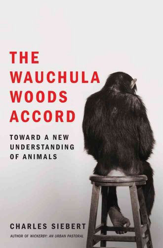 Stock image for The Wauchula Woods Accord : Toward a New Understanding of Animals for sale by Better World Books